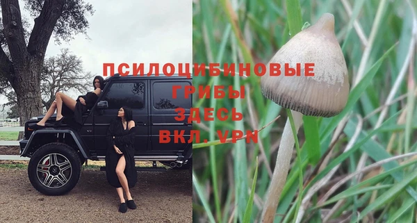 бошки Волоколамск