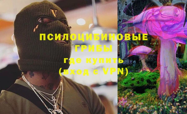 бошки Волоколамск