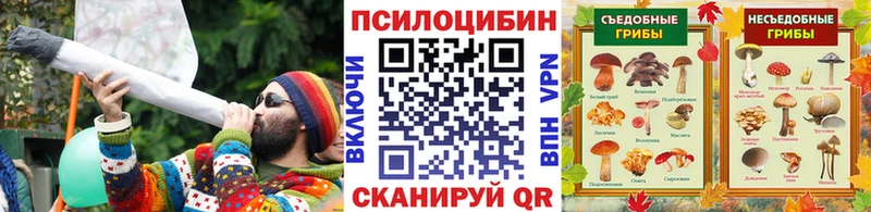 Псилоцибиновые грибы Magic Shrooms  Купить  Новоржев 